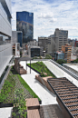 墨西哥城Reforma屋顶花园Reforma 412 roof gardens in Mexico City