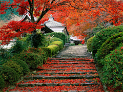 E月采集到自然风景