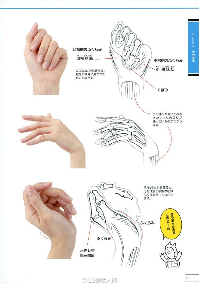 #绘画参考学习#手脚画法参考