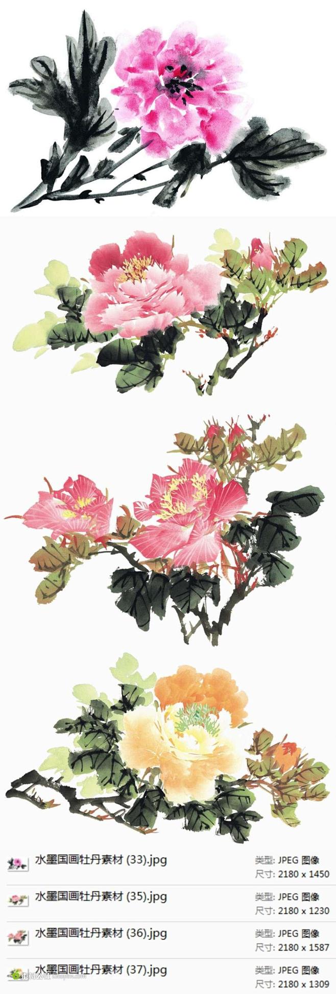 中国风水墨牡丹花素材