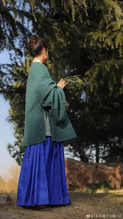 寒影烟霜暗，晨光枝叶妍。

2021年拍的第一套图，要感谢帮忙拍摄的同学，拍摄当日凉丝丝的空气中融着暖阳，青木的午后是宁静而悠然的。

这条蓝裙的明度极高，不那么适用于常规的搭配，但用暗绿的上衣中和后反而会比常见的藏蓝出彩，依稀有几分明宪宗元宵行乐图上绿衣蓝裙的意思。
这种高明度的 ​​​​...展开全文c