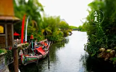 二十四节气之立夏清新主题壁纸-55壁纸网