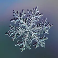 他用一部烂相机，花10年时间只拍一朵雪花，照片放大后被震撼了