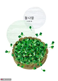 嫩豆芽 可口青菜 手绘植物 美食插图插画设计PSD ti332a3505食品插画素材下载-优图-UPPSD