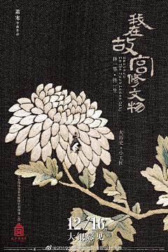 3e70采集到黄海
