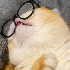 60张坡坡表情包原图攻击。#图文伙伴计划2024 #谁能 - 抖音