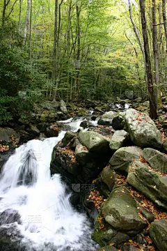 中普朗原野,瀑布,小河,特莱蒙,大烟雾山脉,垂直画幅,公园,枝繁叶茂,无人,田纳西