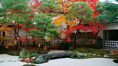 AT·sweet采集到日式景观