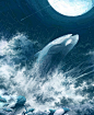 【鲸鱼手绘插画欣赏】