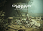 Stavronikita Project on Behance