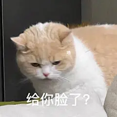 表情包