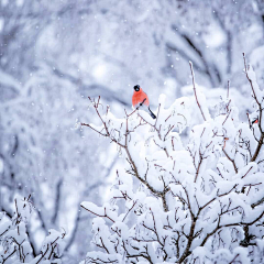 又单又采集到人生旅途❤️灯红酒绿