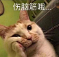 山东济南一女子吃田螺被吸住嘴唇，无奈求助消防员