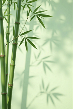 神人肉饼采集到素材