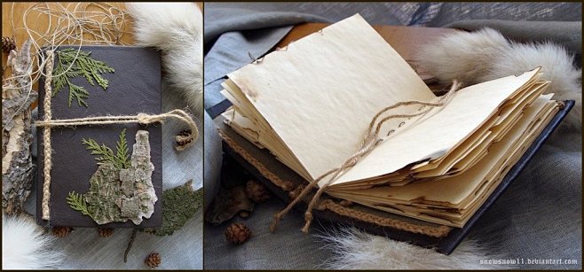 Medieval Notebook by...