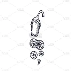 一套手绘快餐。披萨，汉堡，玉米卷，汉堡，甜甜圈，热狗，炸薯条。
