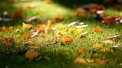 好看的光影壁纸2013-04-07_百度图片