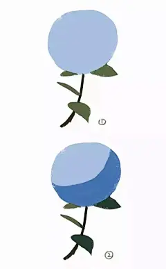 绣球绘制01