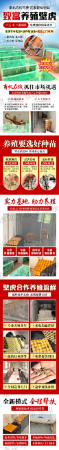 壁虎养殖（百度）水印