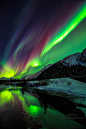 Aurora Borealis, Alaska#自然##美景##摄影师##壁