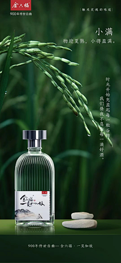 B——B采集到酒