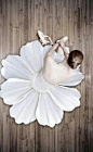 Ballerina flower: 