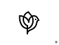 Bird tulip