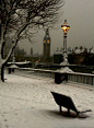 英伦风情——雪后的伦敦~
 #春暖花开#