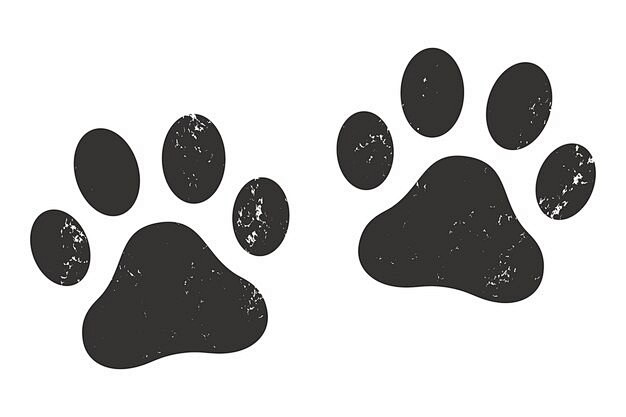 动物脚印足迹矢量图设计素材