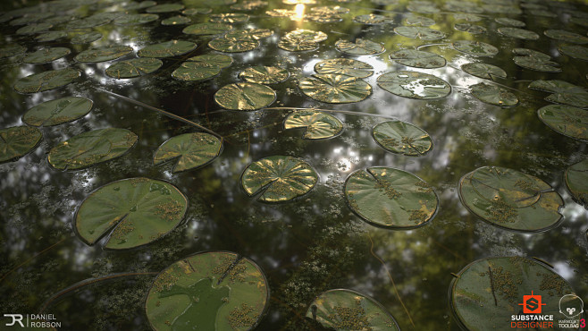 Aquatic Plants: Subs...