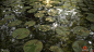 Aquatic Plants: Substance Designer, Daniel Robson : Aquatic Plant Study - All procedural in substance designer.
