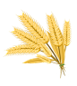 377f54fae790952196f0b0852fa2cb00