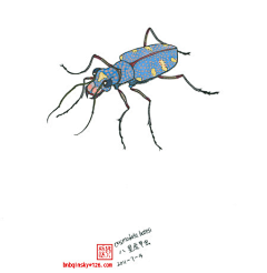 空空大尸采集到动漫