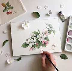 水彩---樱花-梨花-桃花-海棠花、梅花 - 高清图片，堆糖，美图壁纸兴趣社区