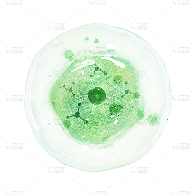 气泡泡泡产品成分分子