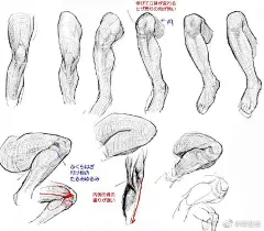 腿部结构膝盖的绘画解析，学画画素材分享（年轻人，怕爆肝吗？不怕就戳这里→：°欲学此课，必先成魔！九关过，业可成！） #手绘# #插画# ​​​​