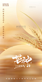 芒种二十四节气简约黄色金色海报
