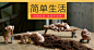 淘宝网 - 淘！我喜欢