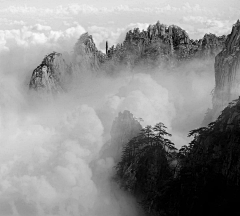 花间禅院采集到丁-摄影禅之风景