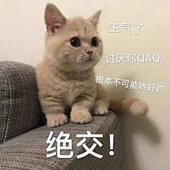 沉迷增肥日渐消瘦采集到猫咪表情包