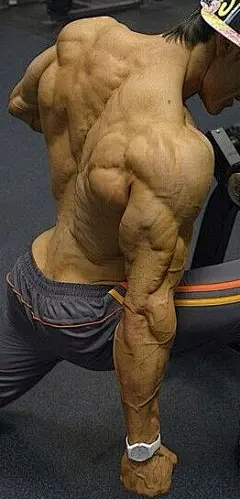原画动漫人物人体结构解剖，肌肉骨骼躯干动…考素材 (160)
