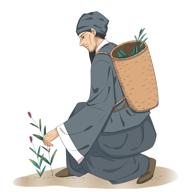 中医中药养生相关 老中医上山采药 手绘卡通