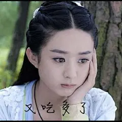 赵丽颖表情包带字大全-搜狗搜索