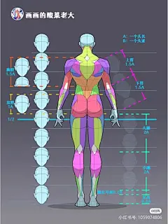 @Natural Beauty Tips Xray
