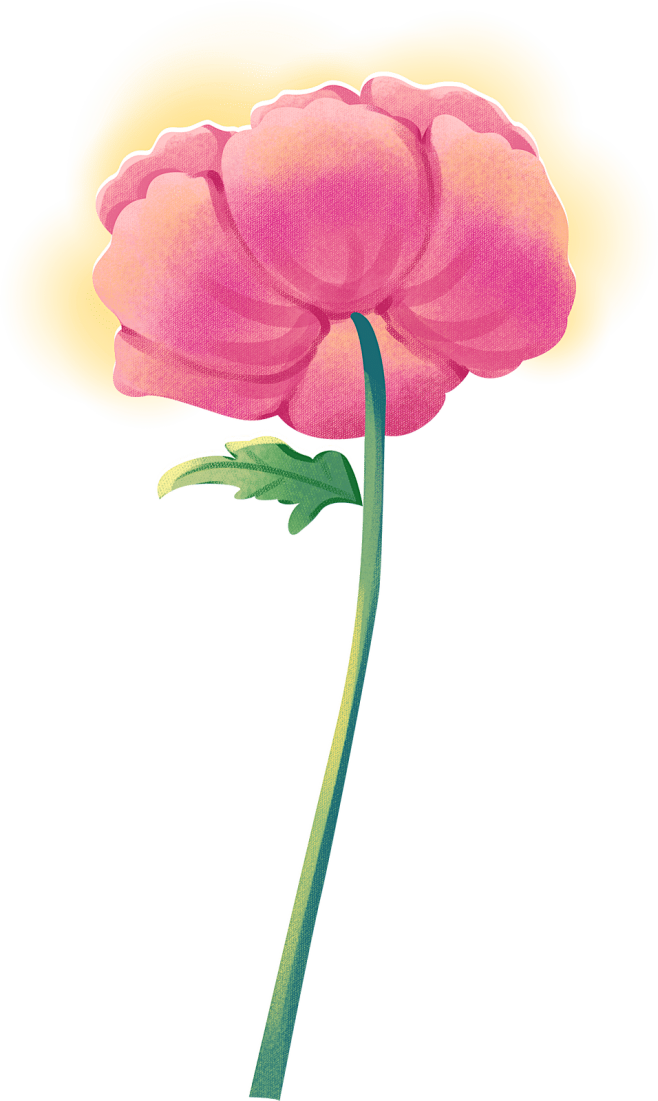 14:41:21绿色植物惊蛰插画粉色中国风花卉节气立春彩色图片花草树木