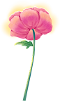 绿色植物惊蛰插画粉色中国风花卉节气立春彩色图片