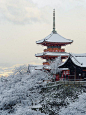 海外「雪景色の日本の美しさは称賛に値する」 息を飲むほどに美しい街の風景に外国人が感嘆 : 1：海外の反応 引用元：Facebook 2：海外の反応 日本よ…待ってろ！すぐ行くからな！ 3：海外の反応 …