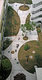 コンフォール南日吉D,E街区 « PLACEMEDIA, Landscape Architects Collaborative.