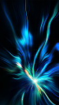 cdc234c57a8dd9cfef65c1939d3d3561.png (1242×2208)