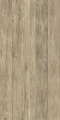 Wood panel texture: 